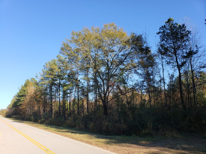 Old Stage Rd, Latta, SC for sale - Other - Image 1 of 11