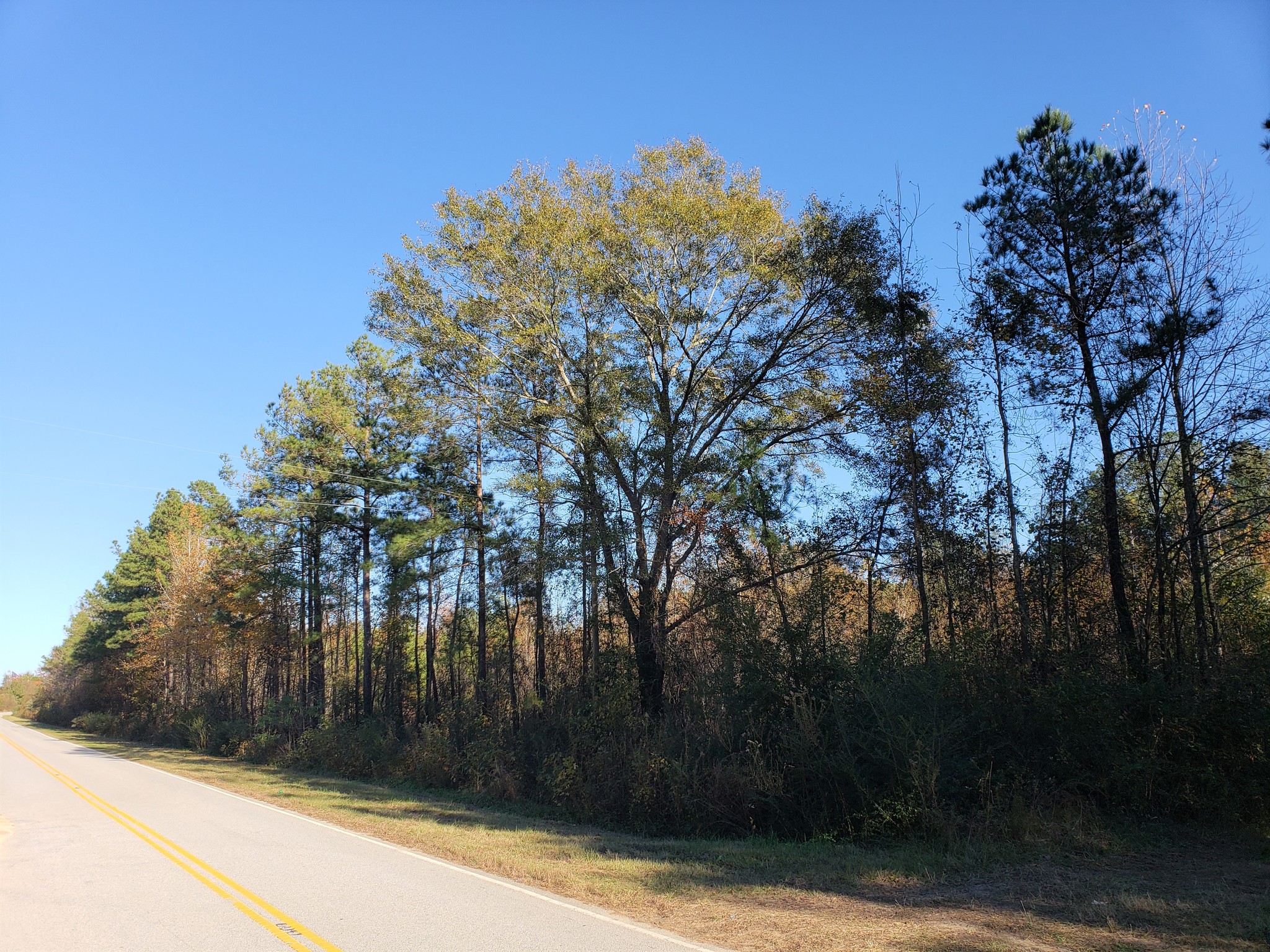 Old Stage Rd, Latta, SC for sale Other- Image 1 of 12