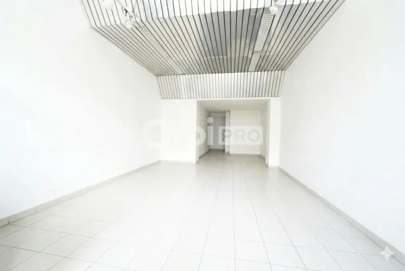17 Cours Tolstoï, Villeurbanne for sale - Interior Photo - Image 1 of 7