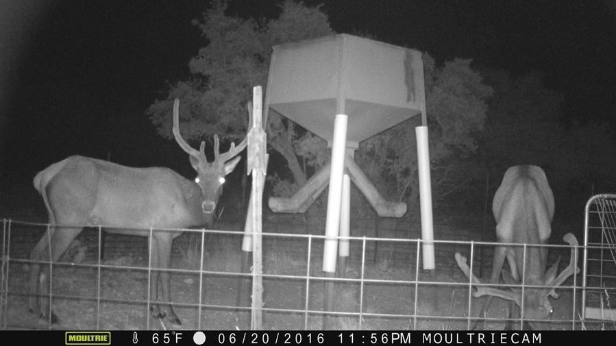 215 Silver Antlers Rnch, Rocksprings, TX à vendre - Photo du bâtiment - Image 1 de 1