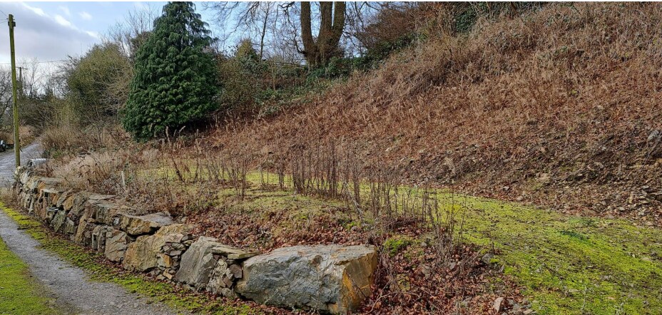 Land Adjoining, Kirkcudbright à vendre - Autre - Image 1 de 2