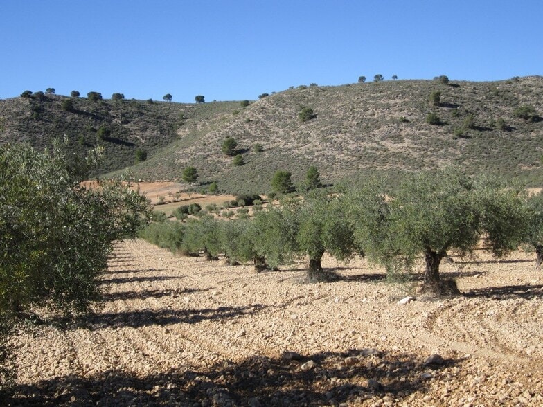 Land in San José, Yecla, Ayuntamiento, MURCIA for sale - Building Photo - Image 2 of 5