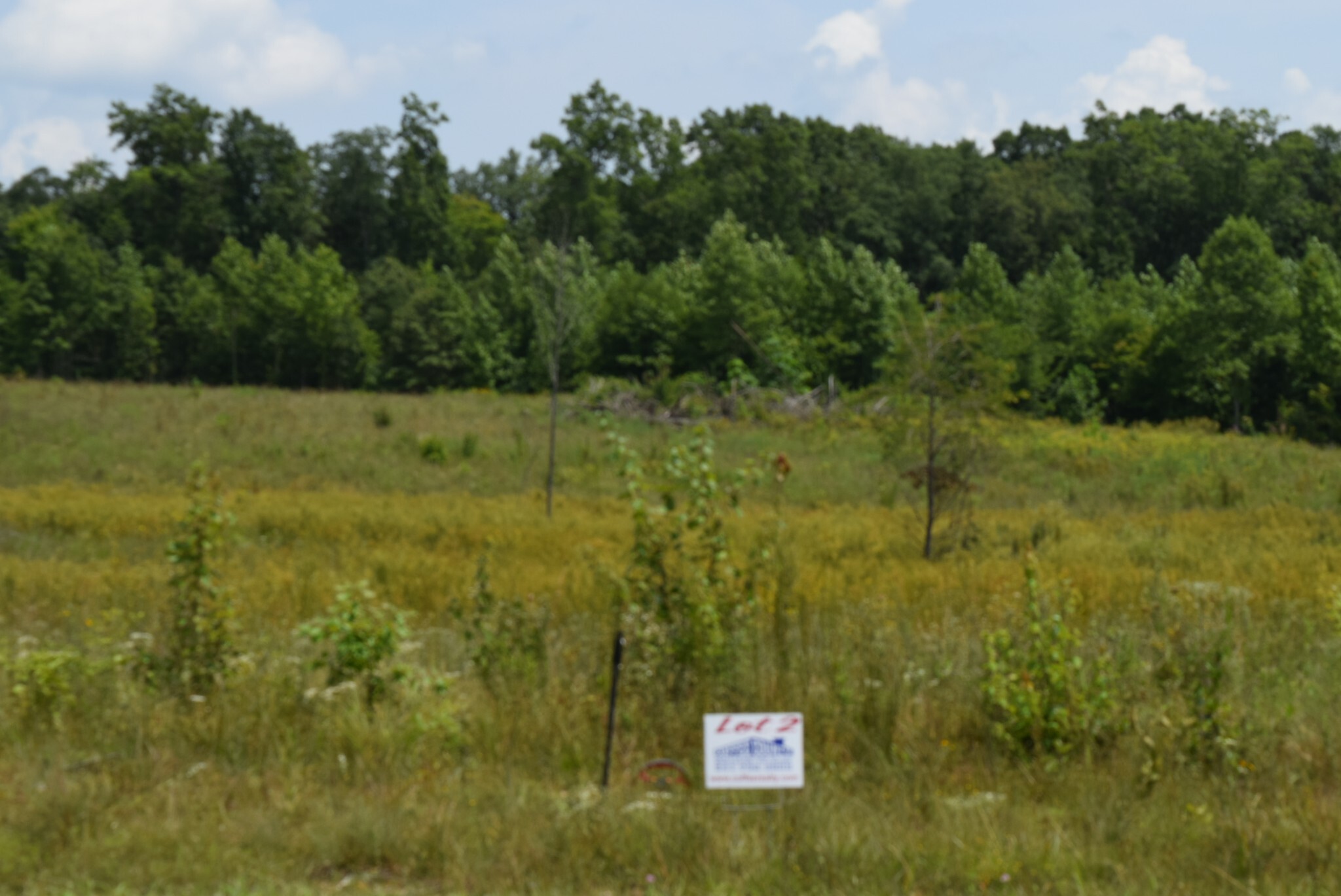 Main St, Altamont, TN for sale Primary Photo- Image 1 of 1