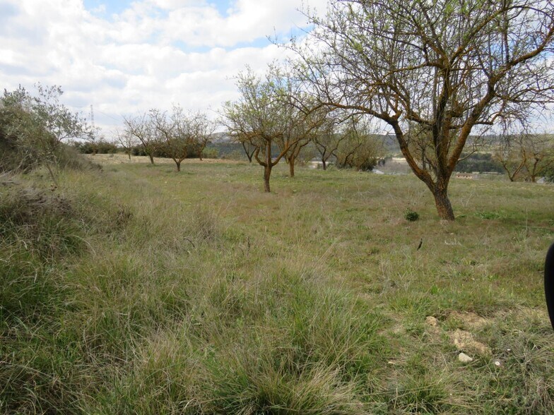 Terrain dans Ontinyent, Valencia à vendre - Photo principale - Image 2 de 9
