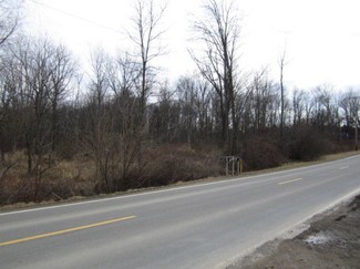 Plus de détails pour 20470 Route 187, Towanda, PA - Terrain à vendre