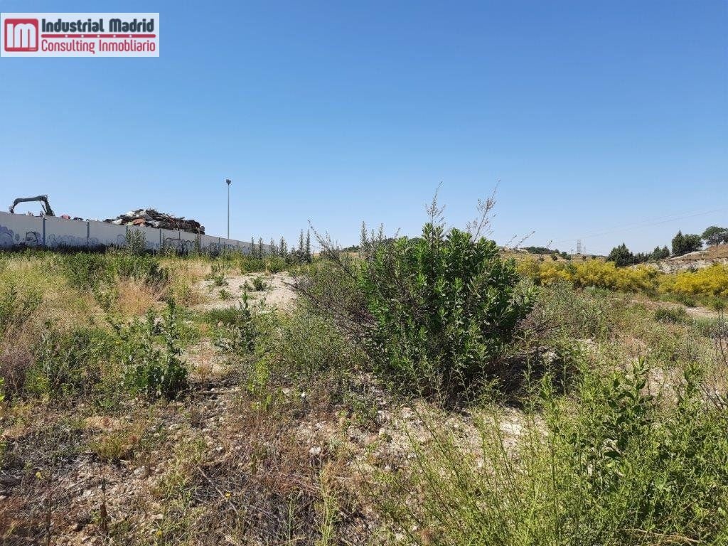Land in Loeches, Madrid for sale Floor Plan- Image 1 of 4