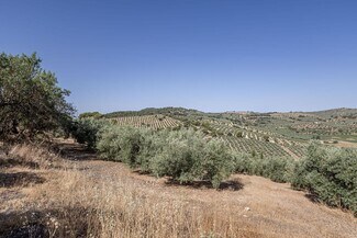 More details for Land for Sale