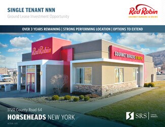 Plus de détails pour 1720 County Rd 64, Horseheads, NY - Commerce de détail à vendre