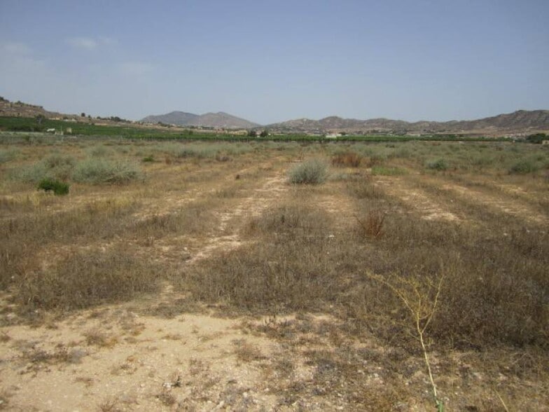 Land in Aspe, Alicante for sale - Site Plan - Image 2 of 5