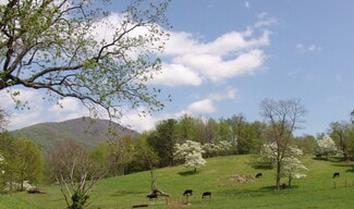 More details for Near Little Washington Virginia, Washington, VA - Land for Sale