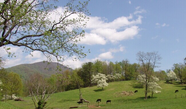 Plus de détails pour Near Little Washington Virginia, Washington, VA - Terrain à vendre