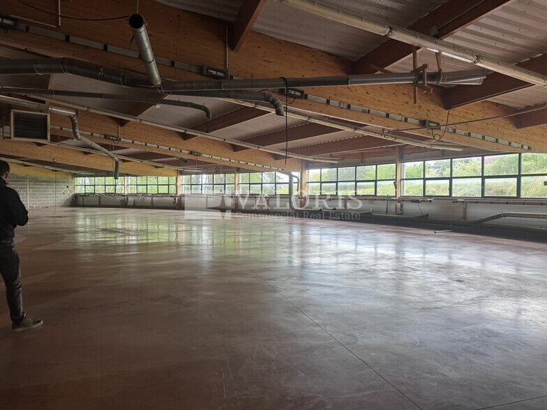 Flex in Ceyzériat for lease - Interior Photo - Image 3 of 5