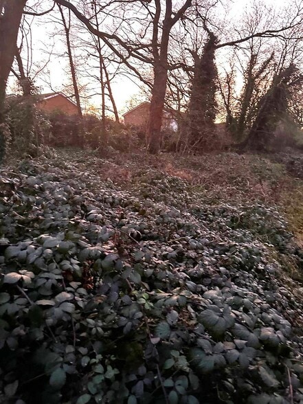 20 Wyatt Rd, Windsor à vendre - Autre - Image 2 de 3