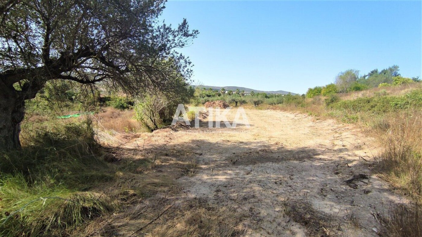 Land in Agullent, Valencia for lease Site Plan- Image 1 of 8
