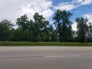 Plus de détails pour 11812 US Highway 319 N, Thomasville, GA - Terrain à vendre