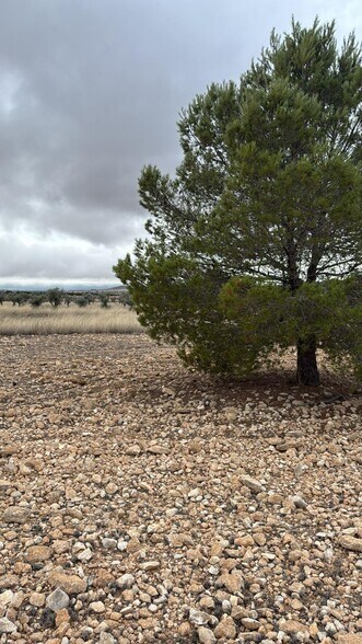 Land in Yecla, Murcia for sale - Site Plan - Image 3 of 7