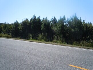 Plus de détails pour Near 10547 Andrew Jackson Highway SW Rd, Fair Bluff, NC - Terrain à vendre