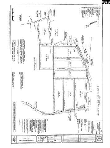 Red Star Rd., Leesville, SC à vendre - Plan cadastral - Image 2 de 11