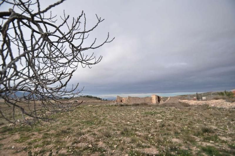 Terrain dans Jumilla, Murcia à vendre - Photo principale - Image 3 de 8