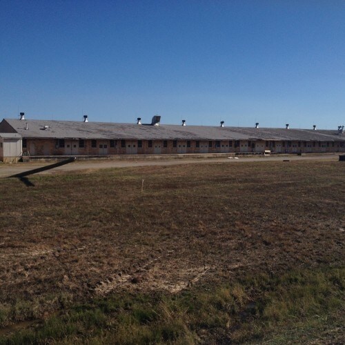 205 Collin St, Hooks, TX à louer Photo principale- Image 1 de 6