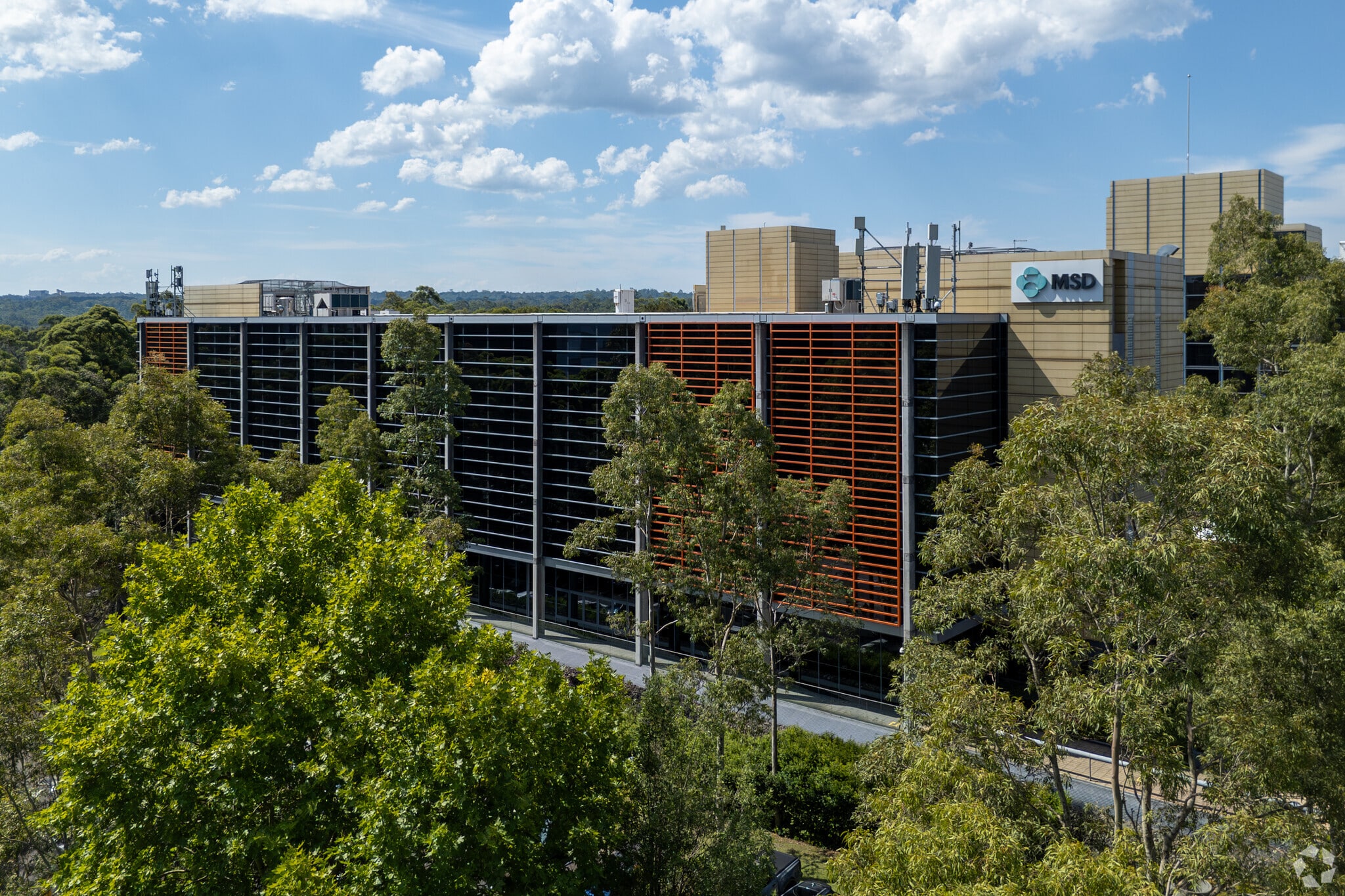 26 Talavera Rd, Macquarie Park for lease Primary Photo- Image 1 of 5
