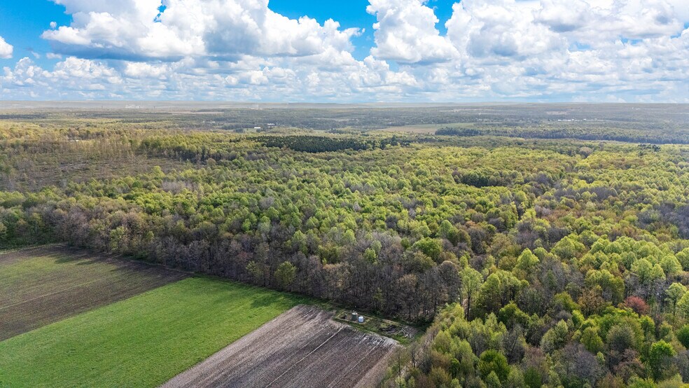 2851 Pine Rd, Atlantic, PA à vendre - Aérien - Image 2 de 15