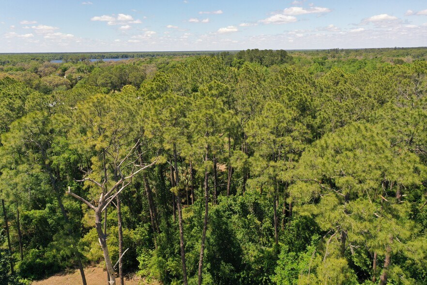 638 Walnut St, Welaka, FL à vendre - Photo du bâtiment - Image 3 de 41