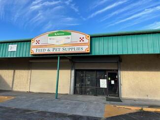 Plus de détails pour 9722 State Road 52, Hudson, FL - Flex à louer