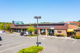 Plus de détails pour 210-236 N Radnor Chester Rd, Radnor, PA - Commerce de détail à louer
