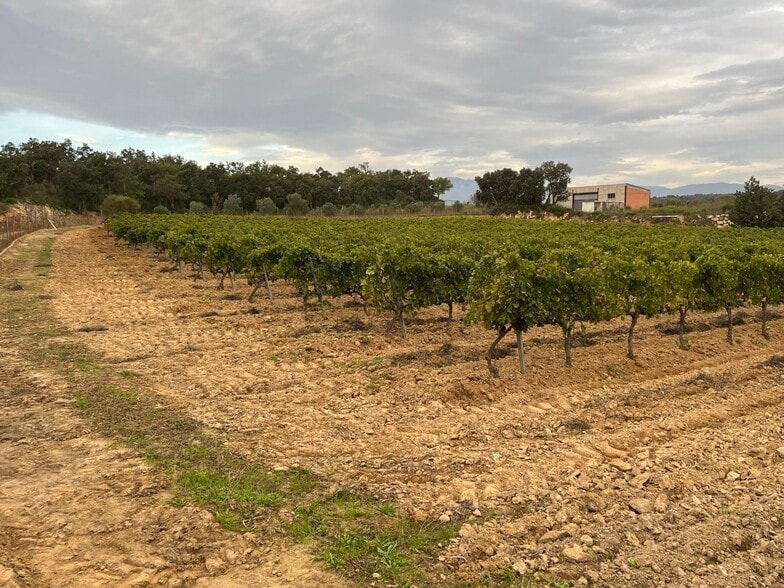 Carrer De La Roca, 20, Capmany, Gerona à vendre - Photo du bâtiment - Image 3 de 7