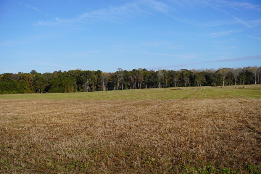 2066 Rackity Hall Rd, Wadmalaw Island, SC for sale - Building Photo - Image 3 of 20