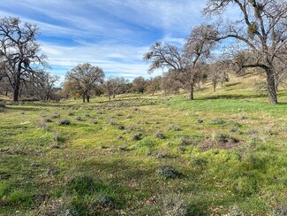 More details for 31700 Rancheria Rd, Bakersfield, CA - Land for Sale