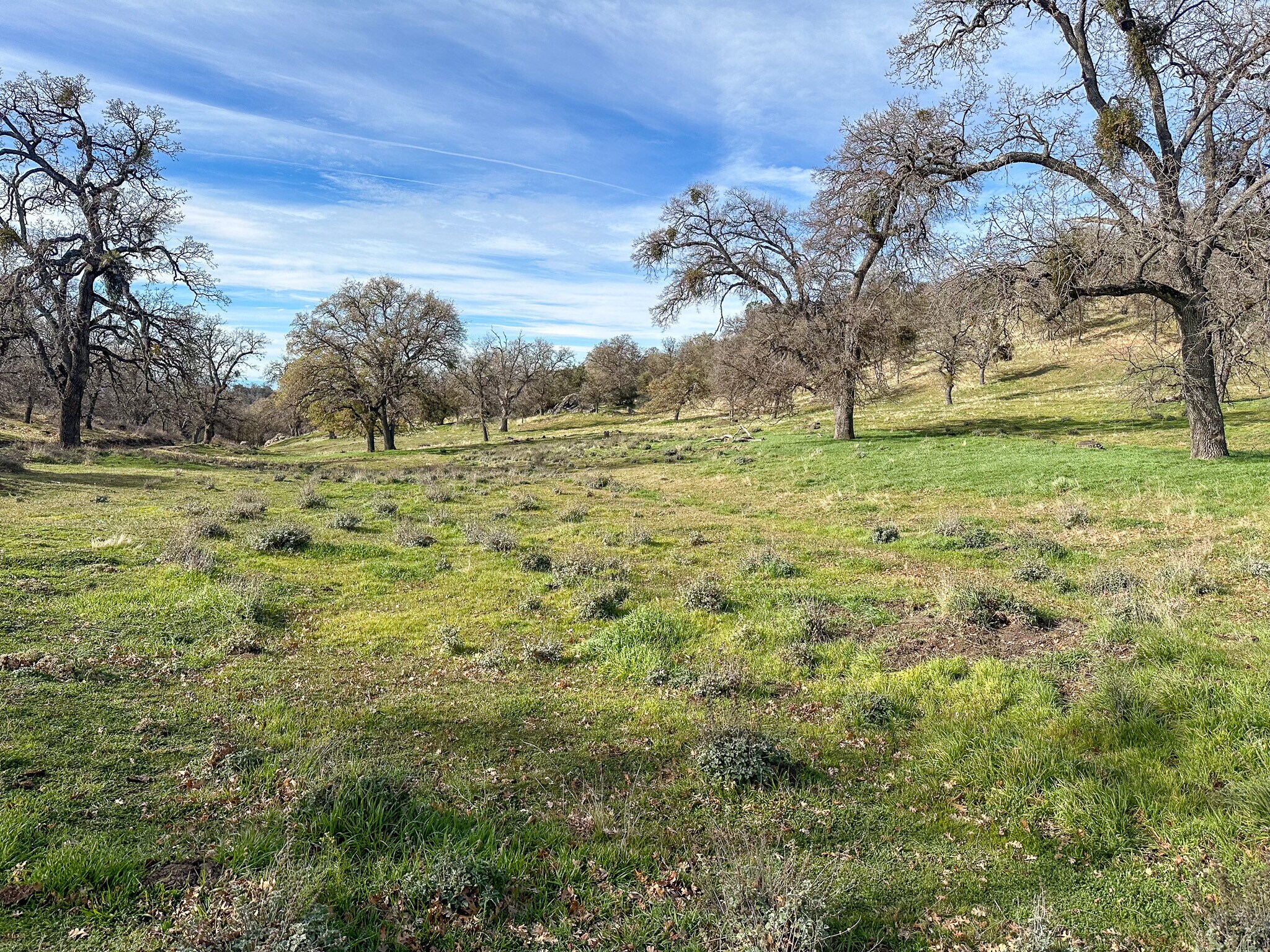 31700 Rancheria Rd, Bakersfield, CA for sale Primary Photo- Image 1 of 12