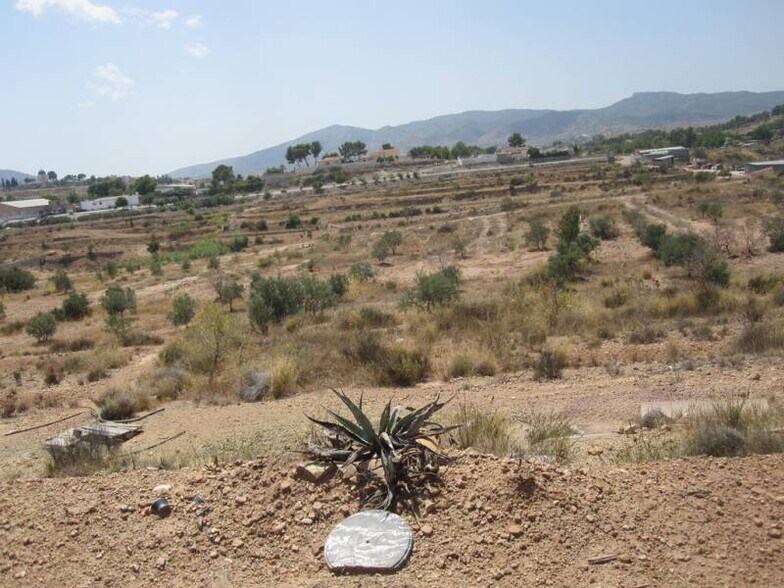 Terrain dans Elda, Alicante à vendre - Photo du bâtiment - Image 2 de 2