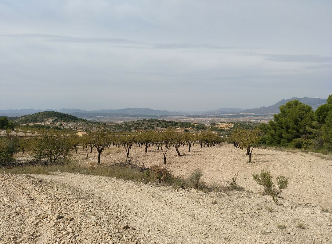 Terrain dans Abanilla, Murcia à vendre Aérien- Image 1 de 9