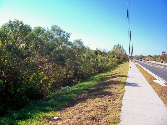 Race Track Rd, Tampa, FL à vendre - Photo principale - Image 1 de 1