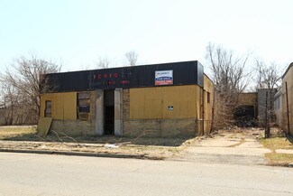 More details for 8790 Grinnell St, Detroit, MI - Industrial for Sale