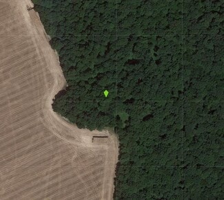 Plus de détails pour Cecilton_Warwick, Warwick, MD - Terrain à vendre