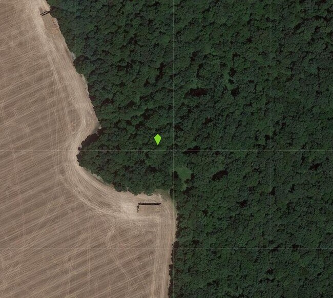 Plus de détails pour Cecilton_Warwick, Warwick, MD - Terrain à vendre