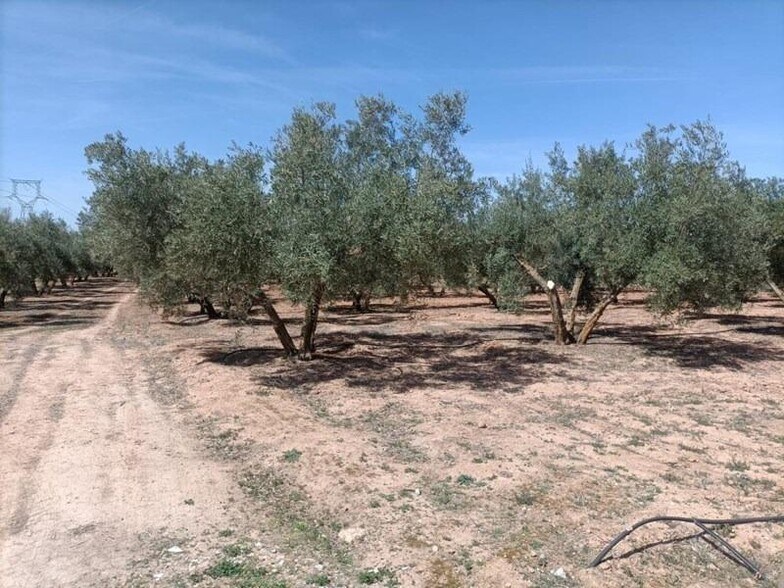 la Zanja, 25, Albolote, Granada à vendre - Photo du bâtiment - Image 3 de 22