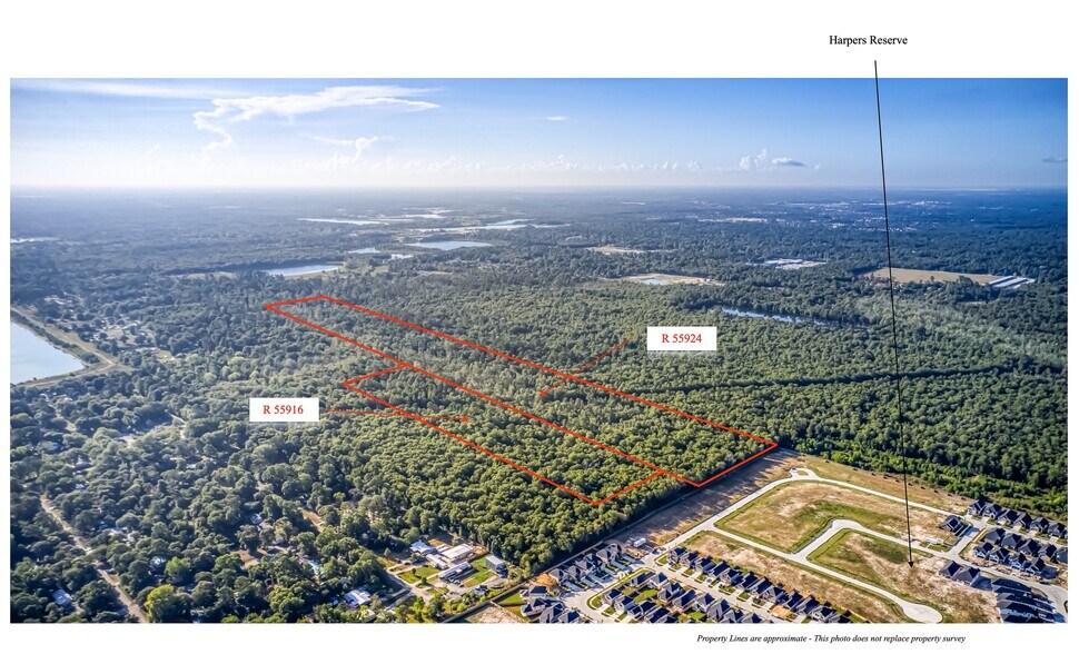 53.8 Acres off Hwy 242, Conroe, TX à vendre - Photo du bâtiment - Image 3 de 6