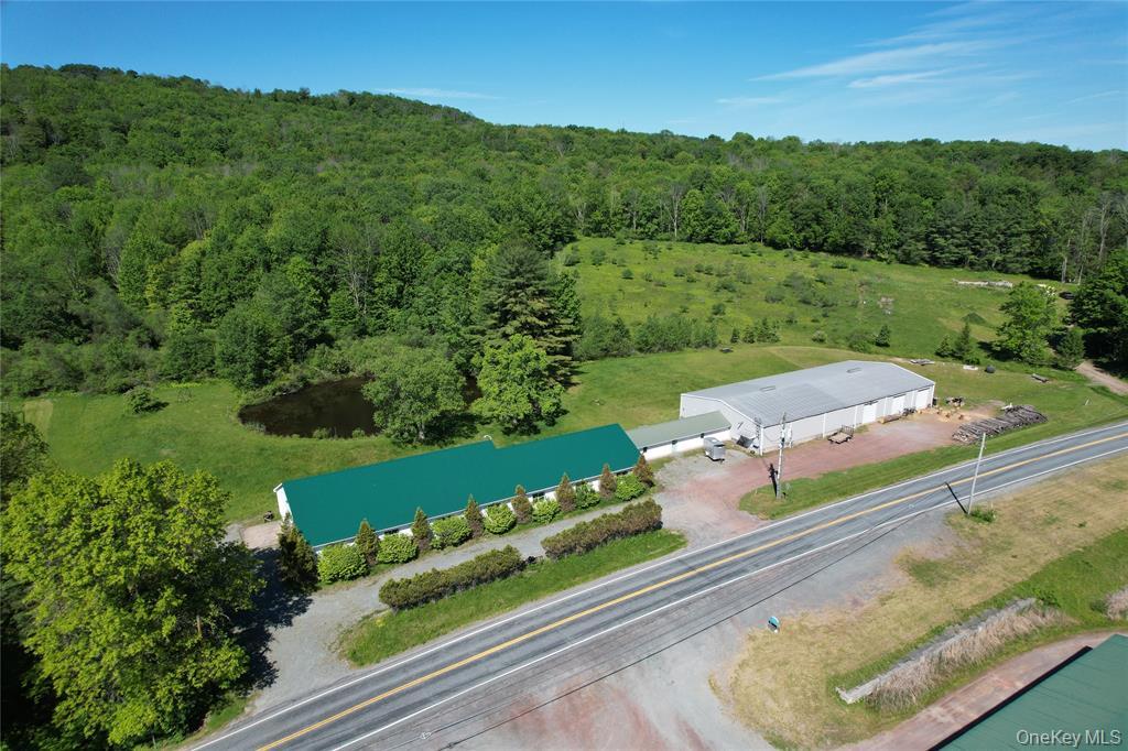 295 Jeffersonville North Branch Rd, Jeffersonville, NY à vendre Photo du bâtiment- Image 1 de 44