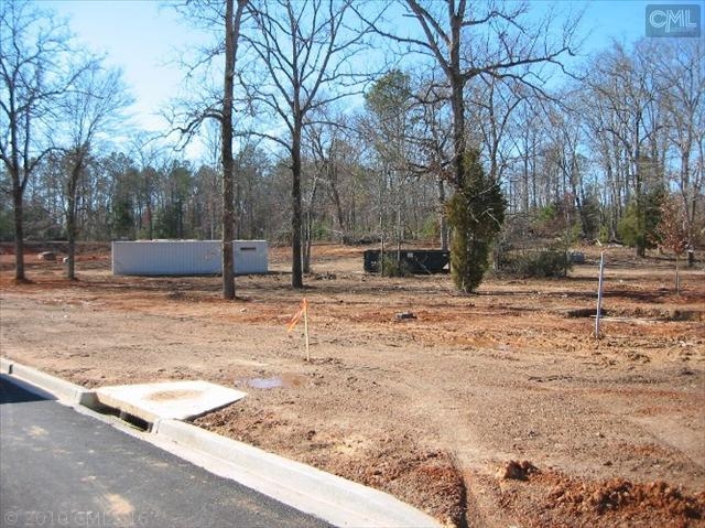 717 Chapin Rd, Chapin, SC à vendre - Photo de construction - Image 1 de 1