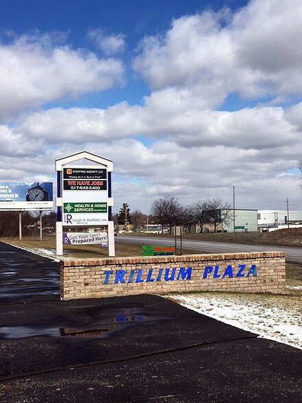 576 Olds St, Jonesville, MI à louer - Autre - Image 2 de 2