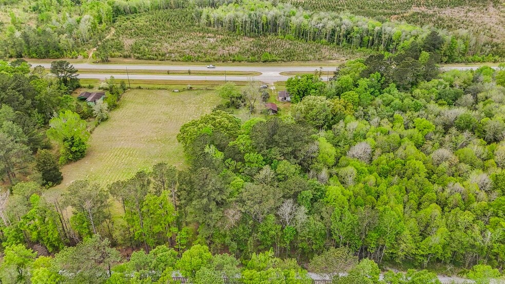 20000 U.S. 43, Mount Vernon, AL for sale - Building Photo - Image 2 of 8