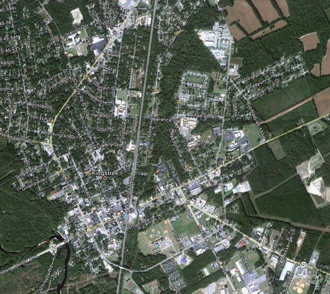 109 Martin Luther King Ave, Kingstree, SC à vendre - Photo du bâtiment - Image 2 de 7