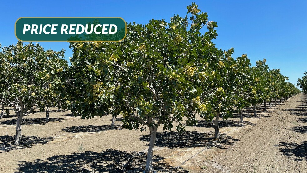 Nwc Of W Lassen & Davis Avenues, Helm, CA for sale - Building Photo - Image 1 of 11