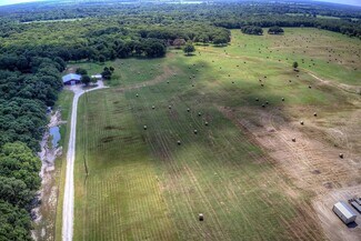 Plus de détails pour 3812 County Road 120, Wills Point, TX - Terrain à vendre