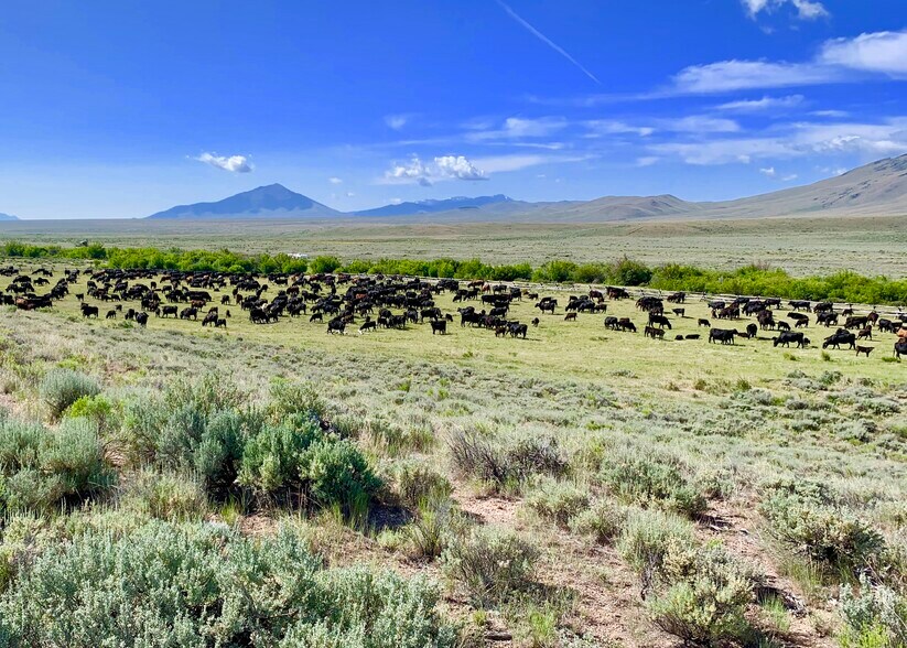 3750 Pahsimeroi Rd, May, ID à vendre - Autre - Image 2 de 41