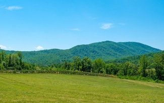 Plus de détails pour 0 Boonesville Rd, Dyke, VA - Terrain à vendre